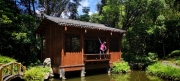 Thumbnail of pic_Cindy_Tse_015.jpg