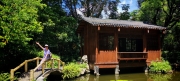 Thumbnail of pic_Cindy_Tse_016.jpg