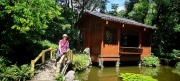 Thumbnail of pic_Cindy_Tse_017.jpg