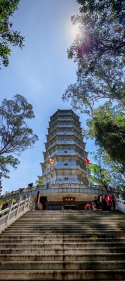 Thumbnail of pic_Cindy_Tse_031.jpg
