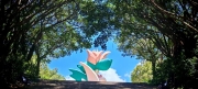 Thumbnail of pic_Cindy_Tse_032.jpg