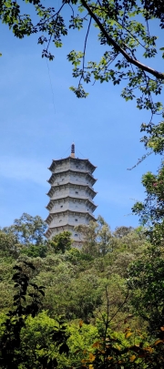 Thumbnail of pic_Cindy_Tse_040.jpg