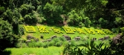 Thumbnail of pic_Cindy_Tse_041.jpg