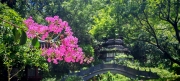 Thumbnail of pic_Cindy_Tse_045.jpg
