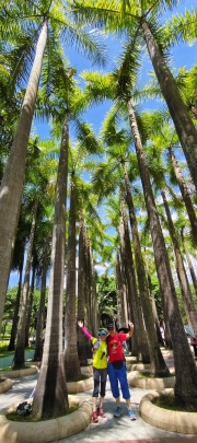 Thumbnail of pic_Derek_Wong_001.jpg