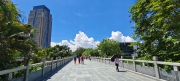 Thumbnail of pic_Derek_Wong_006.jpg