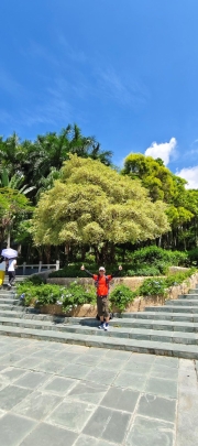 Thumbnail of pic_Derek_Wong_010.jpg