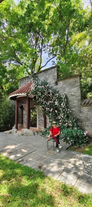 Thumbnail of pic_Derek_Wong_016.jpg