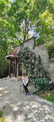 Thumbnail of pic_Derek_Wong_018.jpg