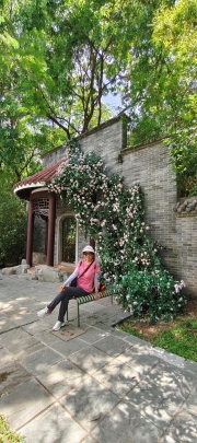 Thumbnail of pic_Derek_Wong_019.jpg