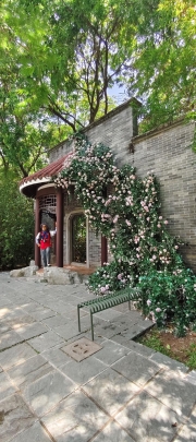 Thumbnail of pic_Derek_Wong_021.jpg
