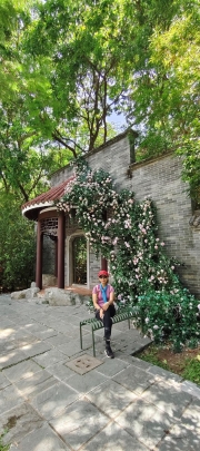 Thumbnail of pic_Derek_Wong_022.jpg
