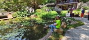 Thumbnail of pic_Derek_Wong_029.jpg