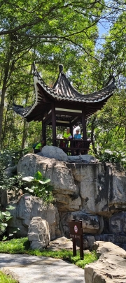 Thumbnail of pic_Derek_Wong_030.jpg