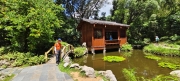 Thumbnail of pic_Derek_Wong_046.jpg