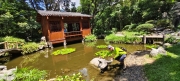 Thumbnail of pic_Derek_Wong_047.jpg