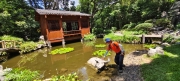 Thumbnail of pic_Derek_Wong_048.jpg