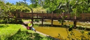 Thumbnail of pic_Derek_Wong_049.jpg