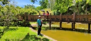 Thumbnail of pic_Derek_Wong_050.jpg
