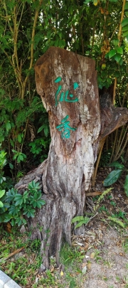 Thumbnail of pic_Derek_Wong_051.jpg