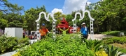 Thumbnail of pic_Derek_Wong_062.jpg