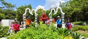 Thumbnail of pic_Derek_Wong_063.jpg