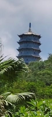 Thumbnail of pic_Derek_Wong_069.jpg