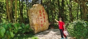 Thumbnail of pic_Derek_Wong_075.jpg
