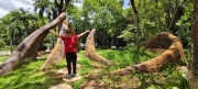 Thumbnail of pic_Derek_Wong_092.jpg