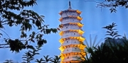 Thumbnail of pic_Derek_Wong_095.jpg