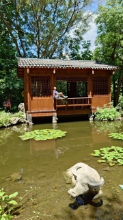 Thumbnail of pic_Derek_Wong_102.jpg