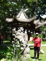 Thumbnail of pic_Derek_Wong_103.jpg