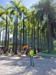 Thumbnail of pic_Szeto_001.jpg