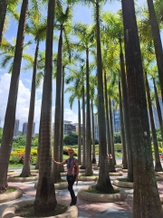 Thumbnail of pic_Szeto_012.jpg