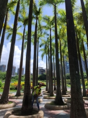 Thumbnail of pic_Szeto_013.jpg