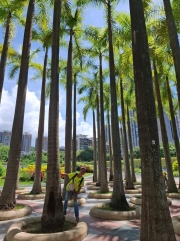 Thumbnail of pic_Szeto_014.jpg
