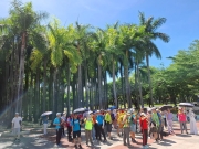 Thumbnail of pic_Szeto_019.jpg
