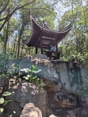 Thumbnail of pic_Szeto_058.jpg