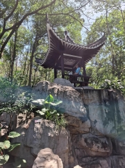 Thumbnail of pic_Szeto_059.jpg