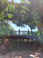 Thumbnail of pic_Szeto_101.jpg