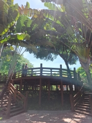 Thumbnail of pic_Szeto_102.jpg