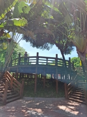 Thumbnail of pic_Szeto_103.jpg