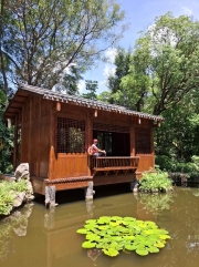 Thumbnail of pic_Szeto_113.jpg