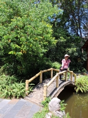 Thumbnail of pic_Szeto_114.jpg