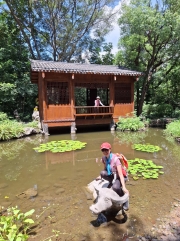 Thumbnail of pic_Szeto_117.jpg