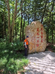 Thumbnail of pic_Szeto_141.jpg