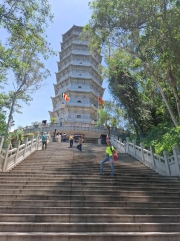 Thumbnail of pic_Szeto_146.jpg