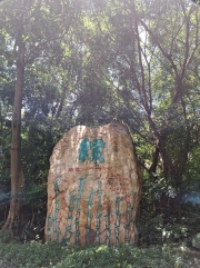 Thumbnail of pic_Szeto_150.jpg