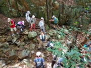 Thumbnail of P7130019.jpg