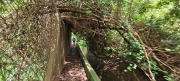 Thumbnail of pic_Derek_Wong_013.jpg